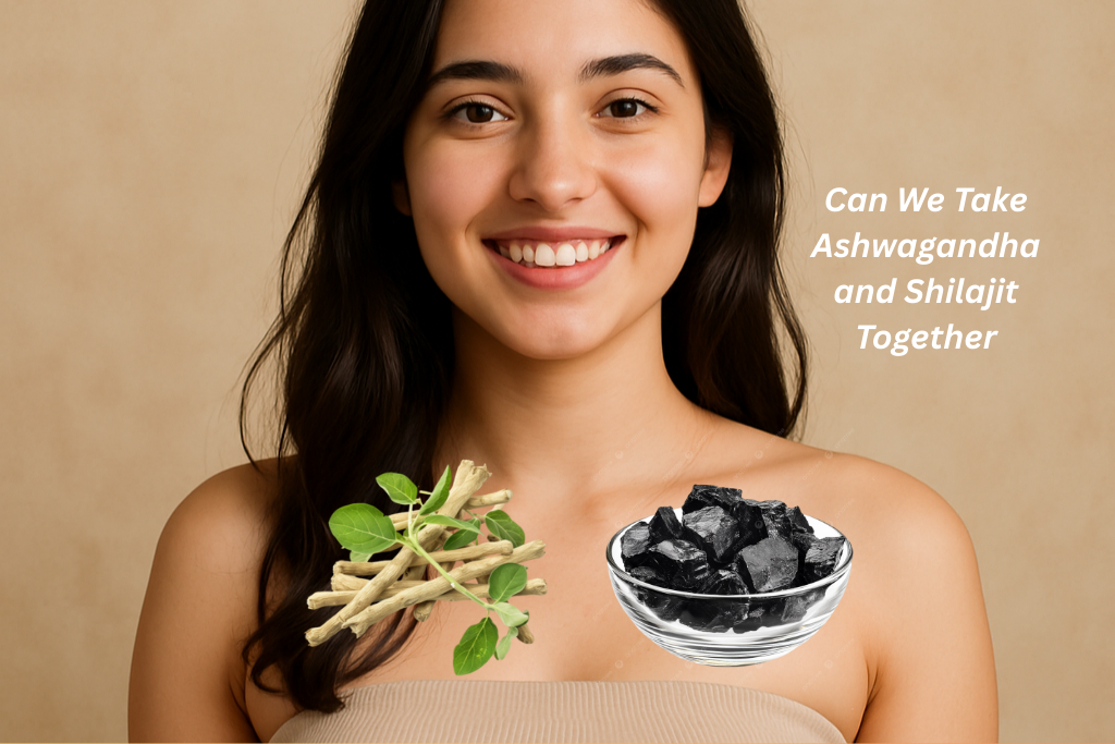 Can We Take Ashwagandha and Shilajit Together